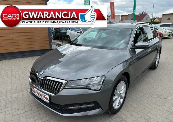 skoda superb Skoda Superb cena 129000 przebieg: 19000, rok produkcji 2023 z Krzywiń